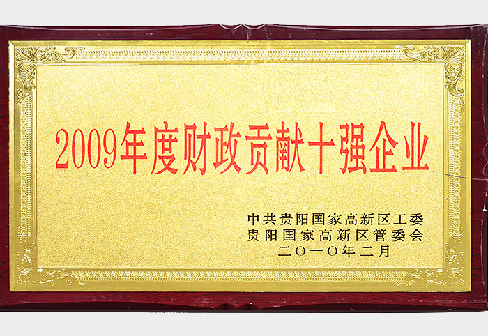 2009年度财政贡献十强企业（2010.2）